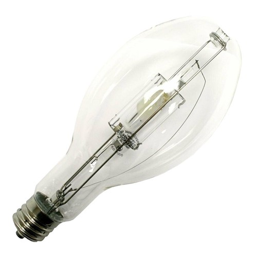 LIGHT PLANT BULBS