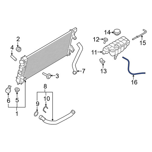 Coolant Overflow HOSE