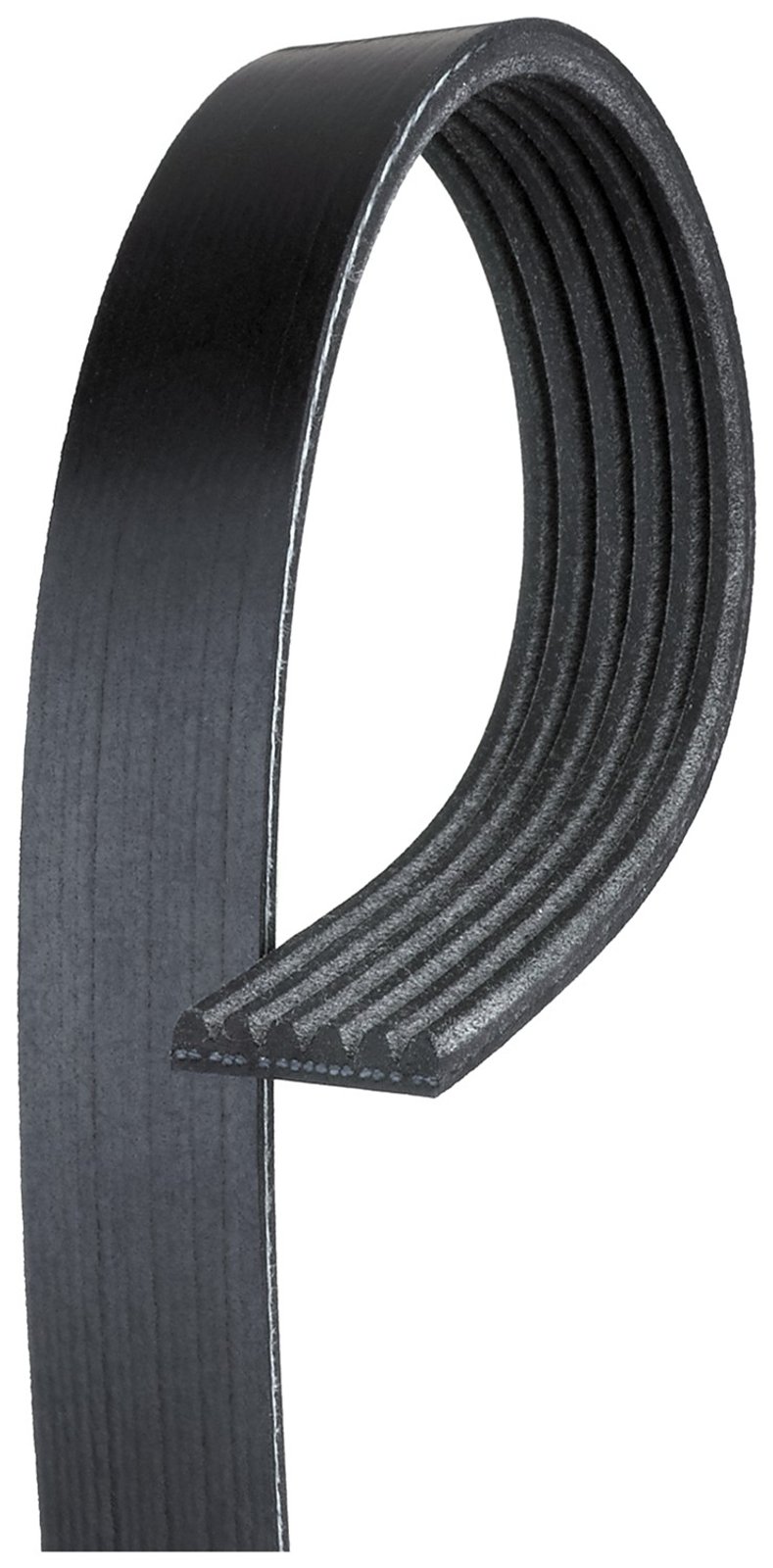 Serpentine BELT